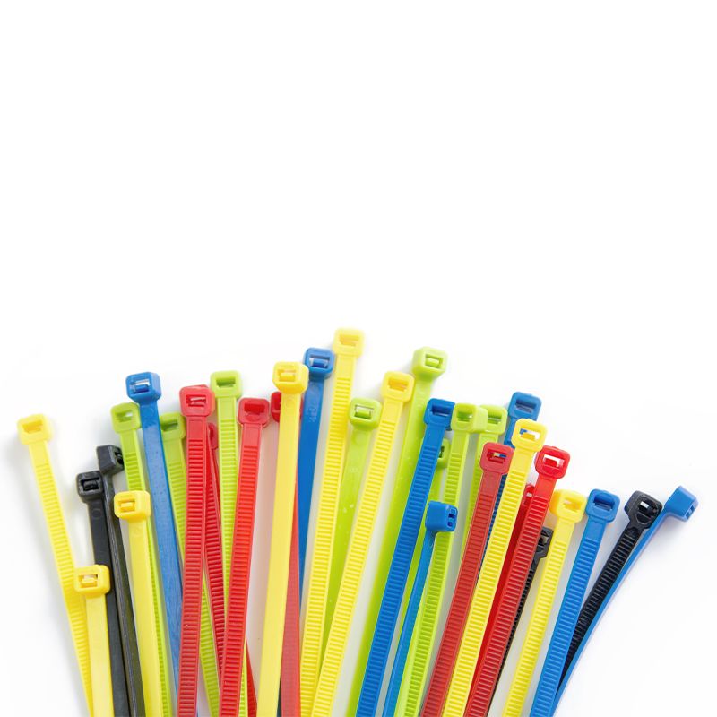 Nylon cable ties | self-locking type 丨customization