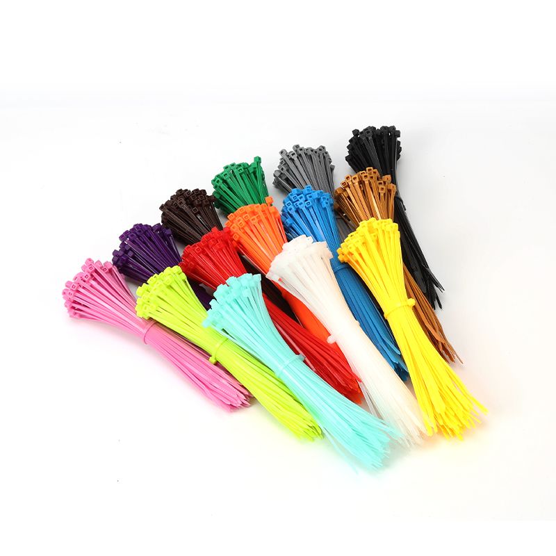 Nylon cable ties | self-locking type 丨customization