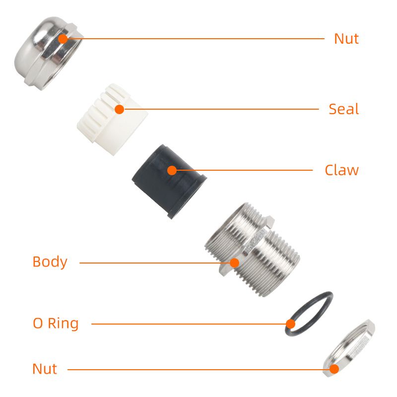Extended brass cable gland 丨 PG types 丨 IP66 IP68 丨 Stress relief 丨 Wire clamp
