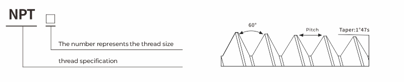 NPT Type