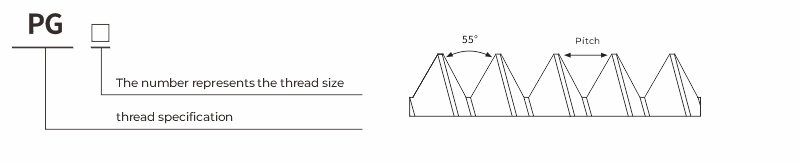 Nylon cable gland 丨PG types丨IP66 IP68 丨 Strain relief