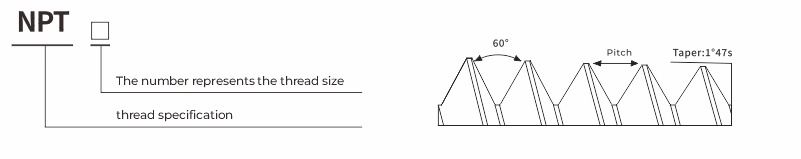 Nylon cable gland 丨NPT types丨IP66 IP68 丨 Strain relief 丨Cord grip