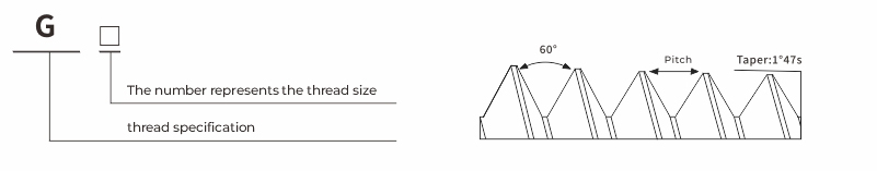 Nylon cable gland 丨G types丨IP66 IP68 丨 Strain relief 丨Cord grip